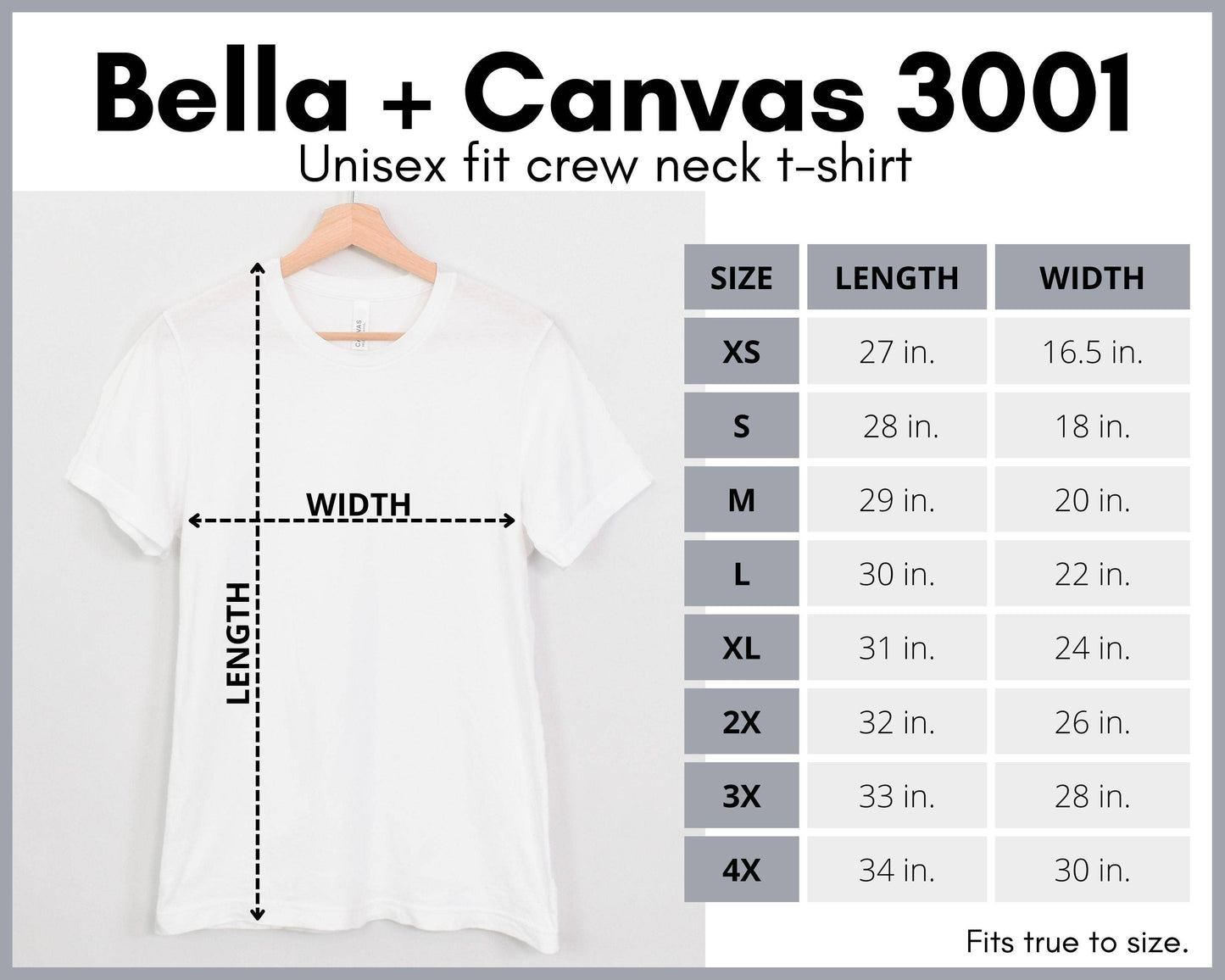 Bella Canvas Unisex Jersey Soft T-Shirt, Blank Shirts 3001C: WHITE / S